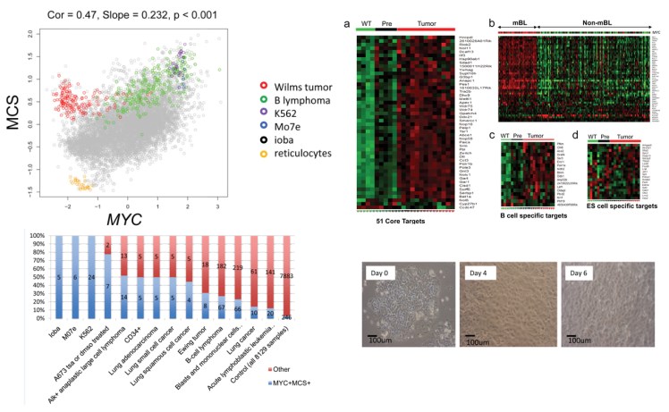 Research – Ji Lab