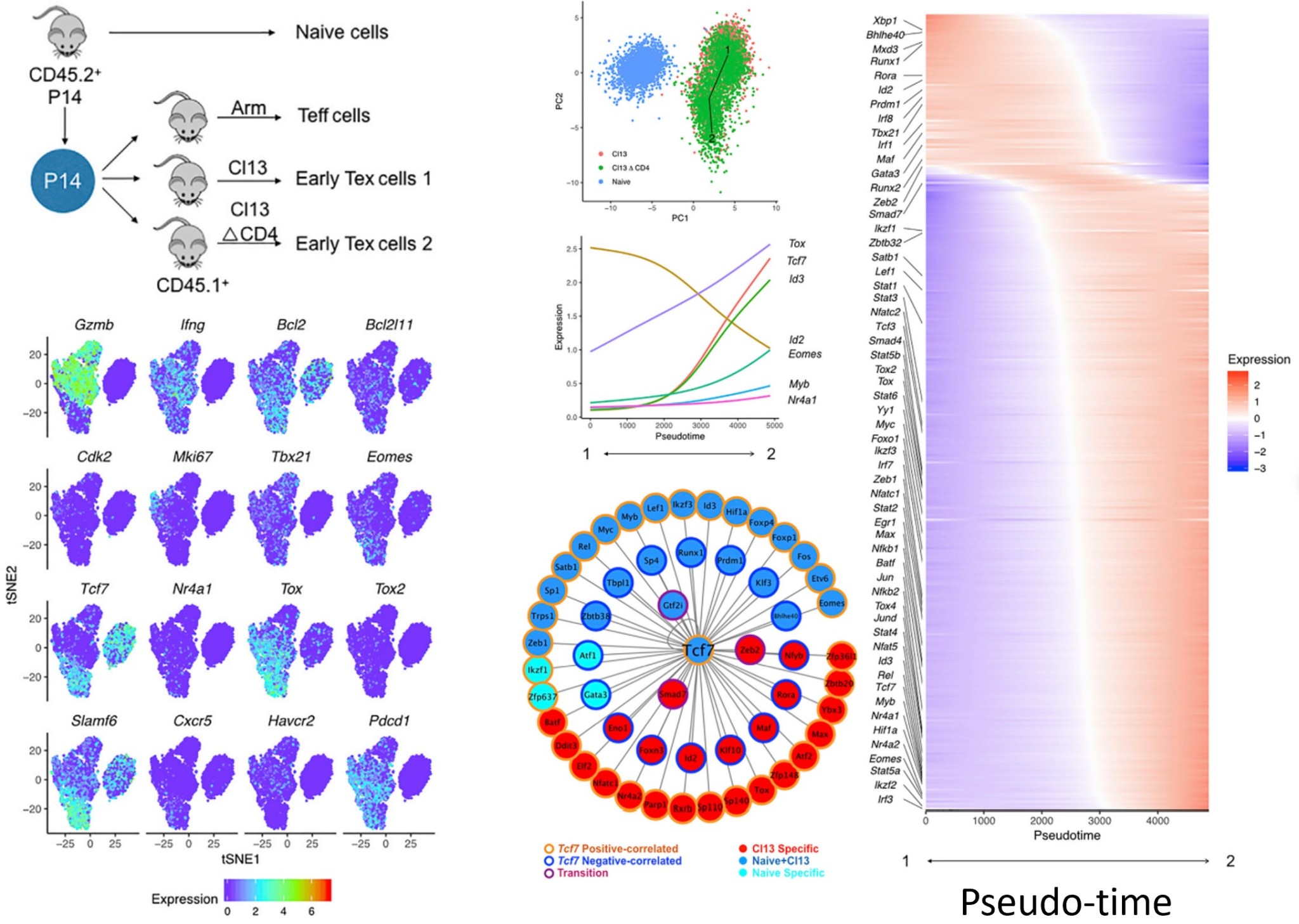 Research – Ji Lab